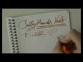 Sallymander Nibs Stacked nib Review