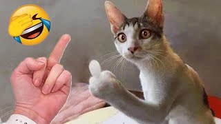 Funniest Cats and Dogs 🐶🐱 | Funny Animal Videos 2023
