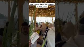 הושענות בסוכה עם הגאון הינוקא מול חומות ירושלים #ינוקא #הינוקא # #yanuka theyanuka