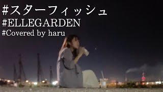 スターフィッシュ / ELLEGARDEN 歌ってみた 弾き語り covered by haru