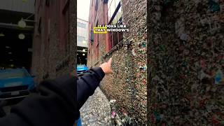 Would you be BRAVE enough to search for the Gum Wall Geocache, or would this be