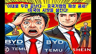 “⚠ 한국 기업의 위기?! 중국이 시장을 삼킨다!”“ 이대로 두면 끝난다… 중국 기업의 파상 공세!” “BYD, 테무, 쉬인… 한국 시장이 위험하다!”