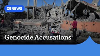 Amnesty International accuses Israel of genocide in Gaza Strip | ABC News