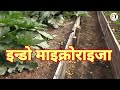 फसल की पैदावार होगी बम्पर । mycorrhizal biofertilizer ।। mycorrhyza kya hai @farmotechno.1