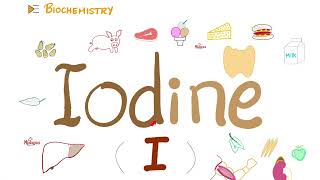You need Iodine | Thyroid Function