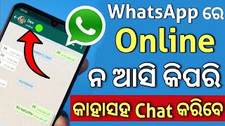 WhatsApp ରେ Online ନ ଆସି କିପରି କାହାସହ Chat କରିବେ Best Secret WhatsApp Tricks Hidden Features