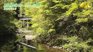 【4K60P NoBGM】新緑のローカル線