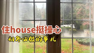 院子大活儿多｜住house挺操心｜每年初冬必做的事