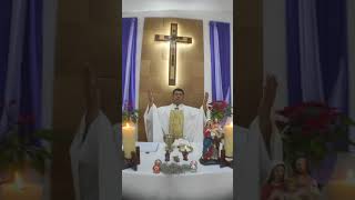 Misa y evangelio de hoy viernes 27 de diciembre de 2024| Padre Luis Felipe| La FE que peregrina