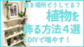 植物スペースどうしてる？飾る方法4つを紹介＆初心者でも難しくないDIYアイテム・ ラブリコ （LABLICO）を使って植物棚を作ります♪