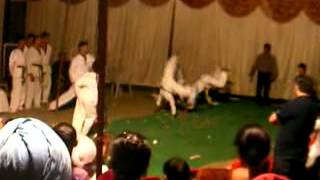 Taekwondo Dance on Jai Ho song during tkd demo at Baisakhi celebrations Phase 7 Mohali