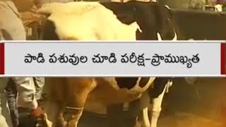 పాడి పశువుల చూడి  పరీక్ష - ప్రాధాన్యత