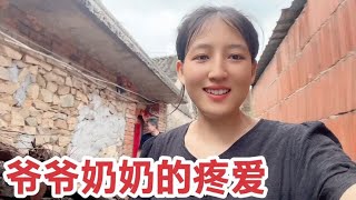 烟台姑娘去看爷爷奶奶，爷爷连忙去菜园摘菜，绝不让孙女空着手走