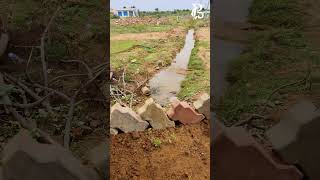 New Project done at NH36 in Sivagangai | Plants Decor