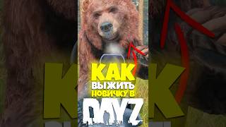 КАК ВЫЖИТЬ НОВИЧКУ В DAYZ #dayz #дейз