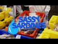 Sassy Sardine AG ft. MC Kallnik, TeebeutelHD,Zeefüßlerpilzfuß - Commercial Anthem (prod. by Wize)