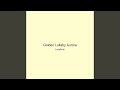 Golden Lullaby Aurora