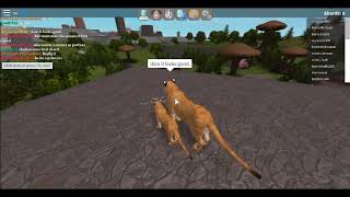 Roblox Shard Seekers How To Get Shards Fast