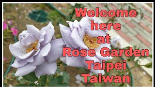 Taipei Rose Garden | Kath Gadnanan