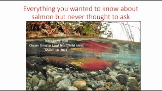 Everything you ever wanted to know about Salmon with Tracy Bowerman