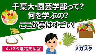 千葉大 ・園芸学部 って ？何 を 学ぶ の？ここ が 実は すごい！