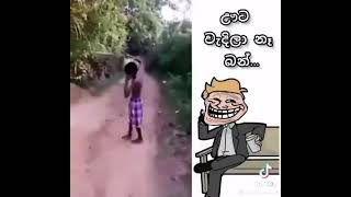 ඌට වැදිල නෑ පොඩ්ඩක් වත් අම්මෝ ඒක ....