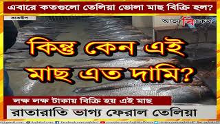 রাতারাতি ফের ধনকুবের মত্স্যজীবী, জালে উঠল শতাধিক তেলিয়া ভোলা | Costly telia bhola caught in Kakdwip