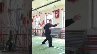 师父赵川辉先生演练宋氏形意拳 조천휘 사부님의 송씨형의권