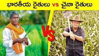 Indian Farmers vs Chinese Farmers || T Talks