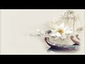 Beautiful Chinese Music| daisy |雏菊 (2)|古風音樂|Instrumental|Silent Snow 時代音樂