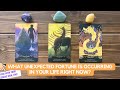 What Unexpected Fortune is Occurring in Your Life Right Now? | Timeless Reading