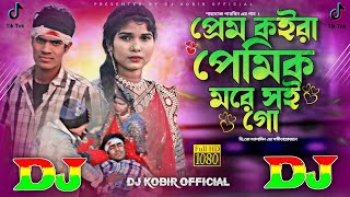 প্রেম কইরা যে প্রেমিক মরে সই গো DJ Remix Tiktok Viral Song🔥Video | Prem Koira Je Premik More DJ Gan