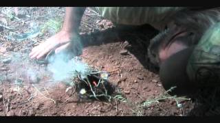 Several kinds of survival fires