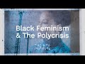 Black Feminism & The Polycrisis – THE NEW INSTITUTE Programs