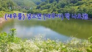 자생새우가 많은 계곡 소류지에서 - Hello월척씨 !