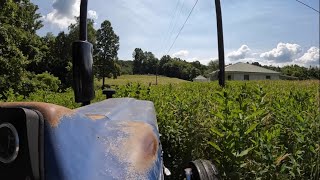 Mower Came Unhooked! Bush hogging a Couple Fields with the Farmtrac 60!