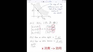 マクロ経済学上級 (001-04) 効用最大化問題 No.4（一階条件の解釈）