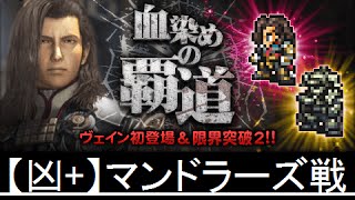 【FFRK】血染めの覇道 【凶+】マンドラーズ ノーコンマスクリ