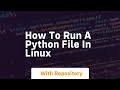 how to run a python file in linux