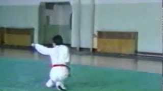 Wushu Forms - Five Stance Form