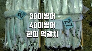 목포먹갈치 한띠 먹갈치 1/4상자 80.000원 30미병어 40미병어 입니다.