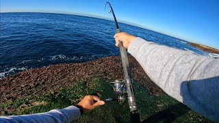 Expect the unexpected when bait fishing | Rock Fishing NSW, Australia