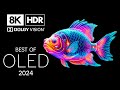 Unbelievable Views in 8K HDR | Dolby Vision™