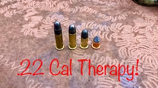 .22’s Are Awesome! Flobert, Short, Long And Long Rifle Plinking!