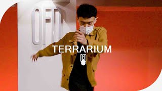 BRLLNT - Terrarium (Feat. CIFIKA) l FLOKY (Choreography)