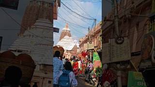 ଏତେ ଦିନ ପରେ ଡୋରି ଲାଗିଲା ମହାପ୍ରଭୁ#jay jagannath 🙏🙏🙏⚫‼️⚫🙏🙏🙏🙏📿 #youtubeshorts