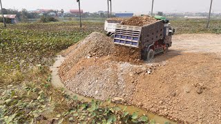 Ep10 Update Project by Technique Processing Dump Trucks With KOMATSU Bulldozer filling Flooded land.