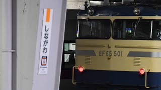 【JR東日本最古参のEF65がまたもや品川に！】EF65-501号機(通称Pトップ) 品川駅構内撮影会「往年の名機 一同に会す」撮影会返却回送 単9733レ 品川駅発車