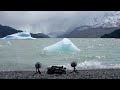 icebergs melting in a glacial lake in patagonia nature sounds