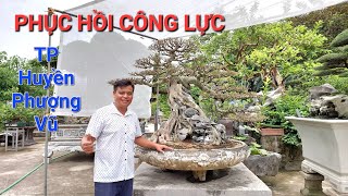 Anh MINH DƯỠNG phục hồi CÔNG LỰC cho TP HUYỀN PHƯỢNG VŨ như thế nào !